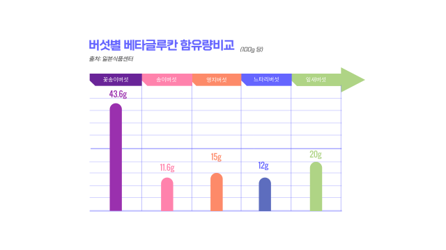 본문이미지